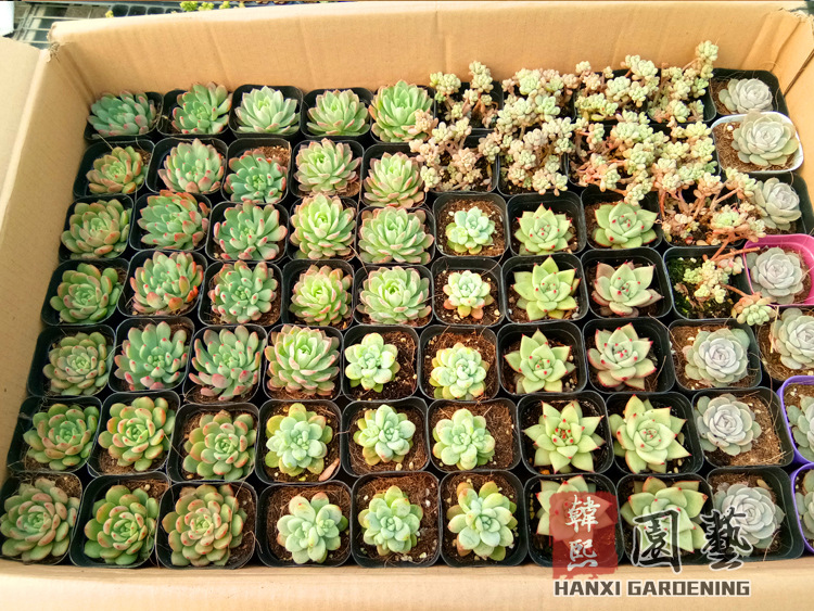 微信图片_20180130111609