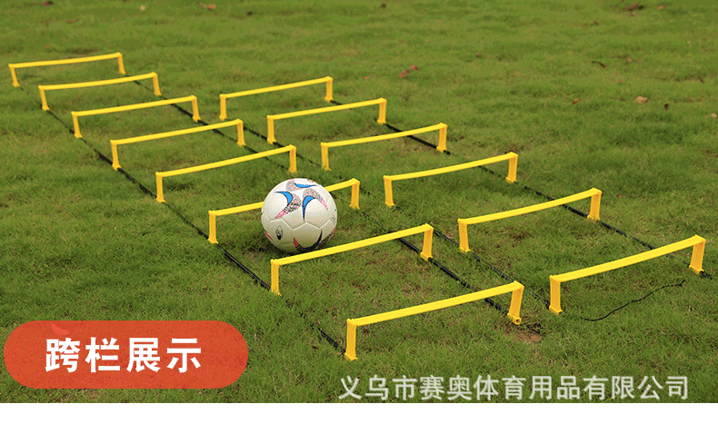 790_13.gif