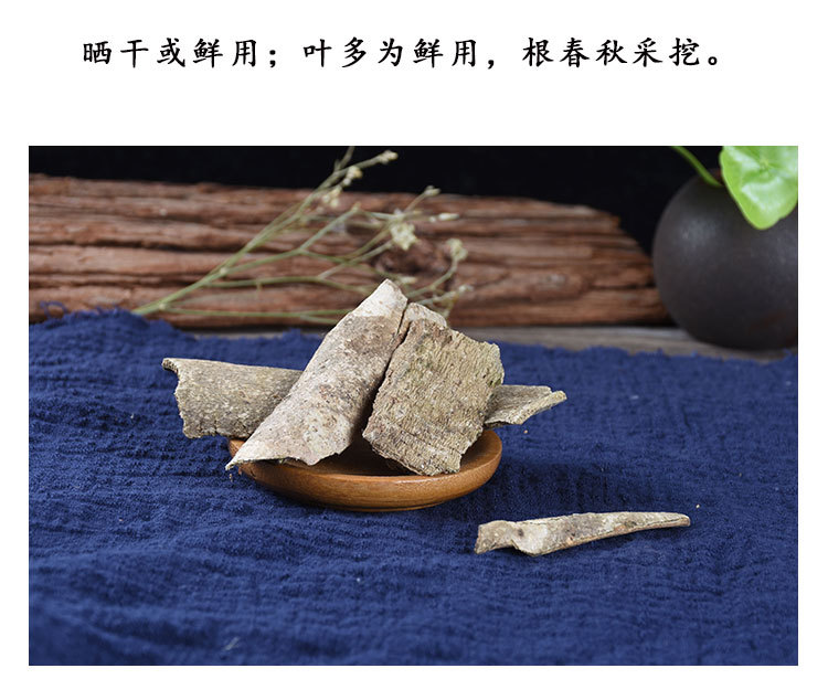 Jiu Bi Ying Bark (Ilex rotunda) — Dried Food Herb, Unsulfured Thick Bark, 500g key features
