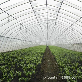 喷嘴、喷头;喷泉水景;温室、大棚