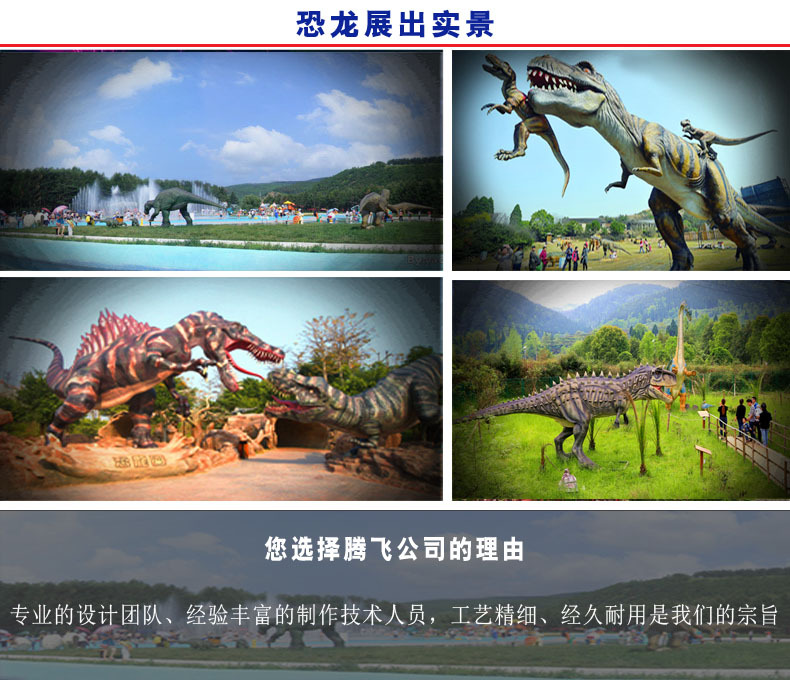 恐龙使用与场景 -副本.jpg