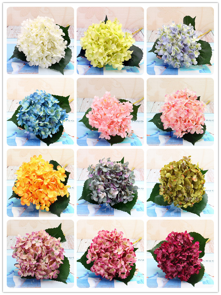 单支碎玉绣球 色卡 .jpg