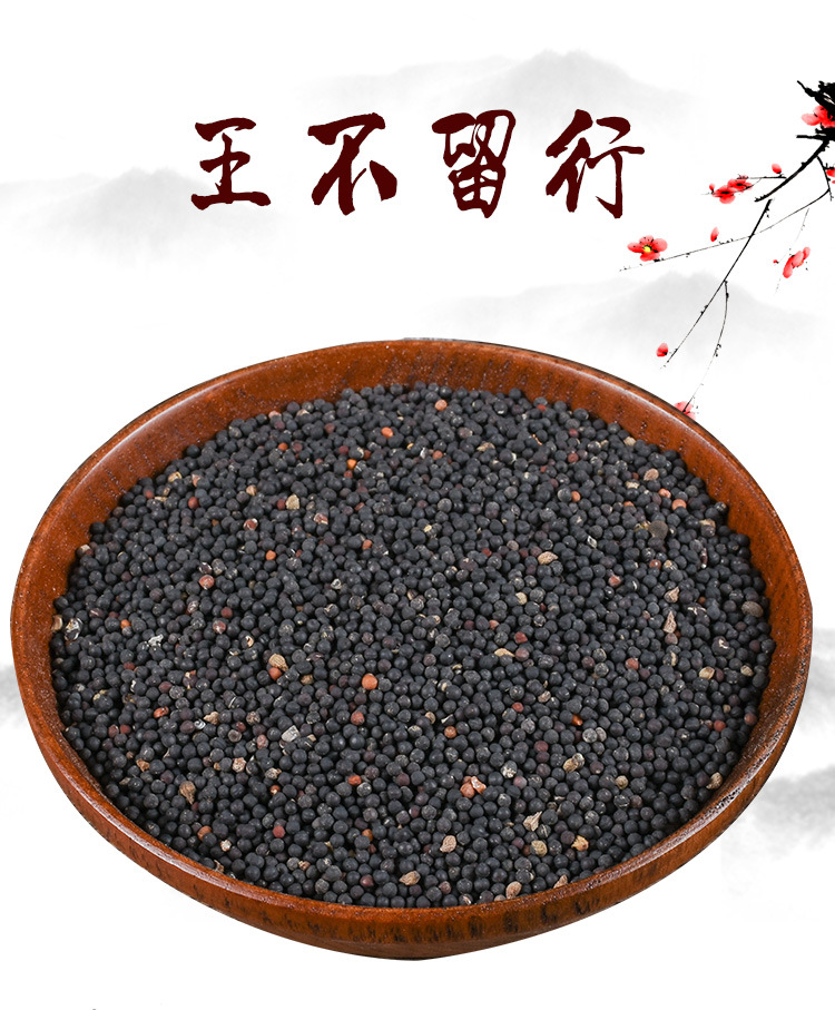 Wang Bu Liu Xing Seeds (Vaccaria segetalis) — Dried Food Herb for Tea & Soup key features