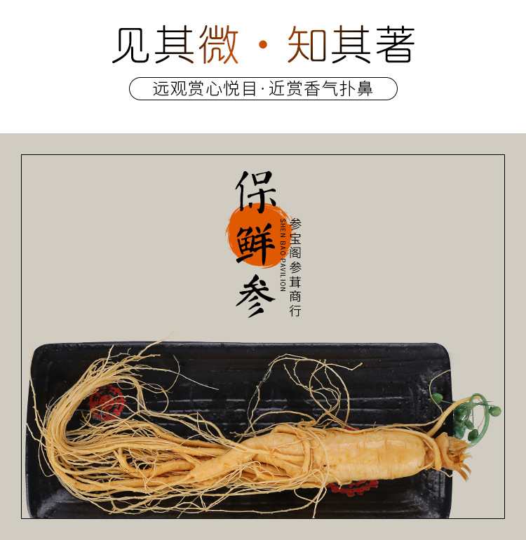 Changbai Mountain Fresh Ginseng (Panax ginseng) — Whole Roots for Wine & Soup specifications