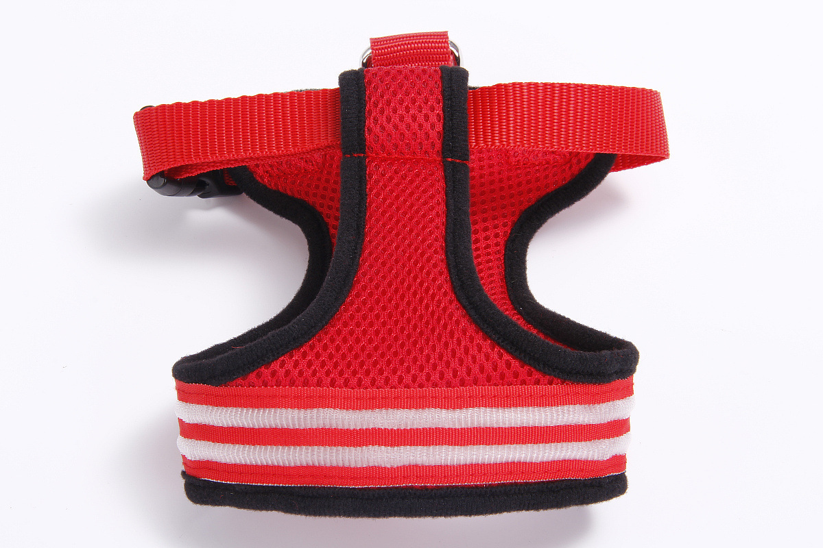 双光纤发光胸背带1200 (10).jpg