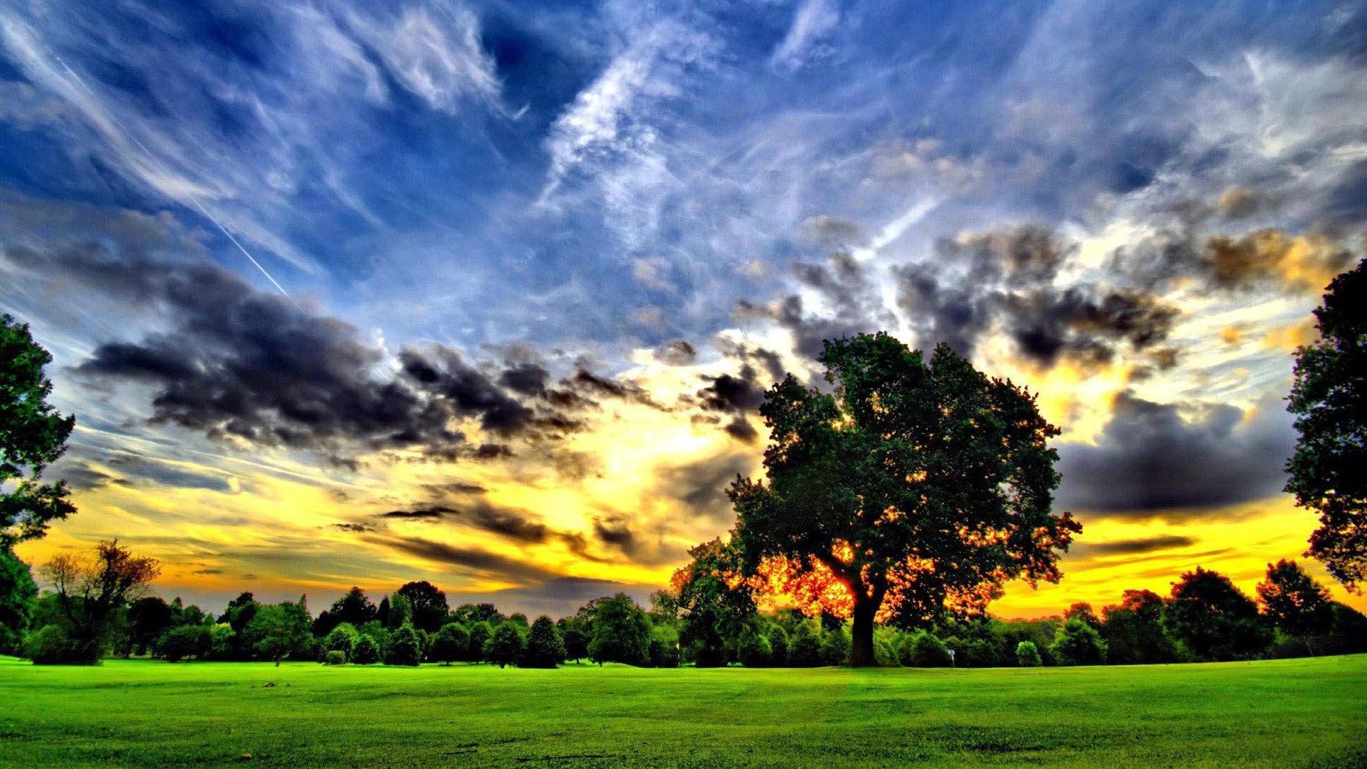 经常都会看到很多的人一件事做得很好,而当我们看到他们背后的时候,更是要看到他们的坚持。就...