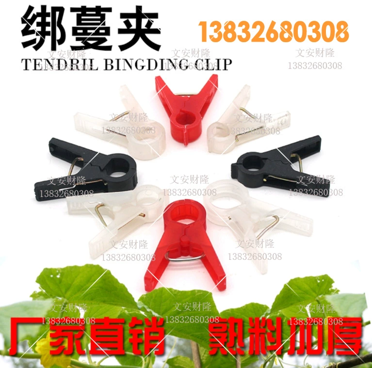 Зажим для огурца Виноградный зажим помидор подвесной лоза зажим для рассады фиксирующий Зажим (1000 шт.)