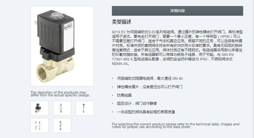 burkert原装电磁阀 6213型 原501112R替代型