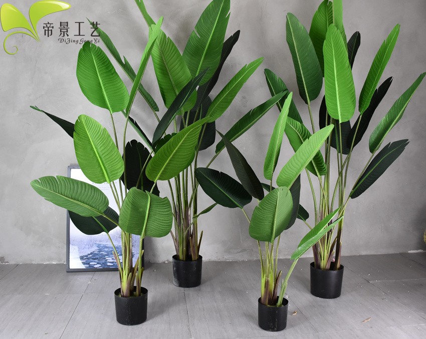 TB2kkvVn3vD8KJjSsplXXaIEFXa_!!