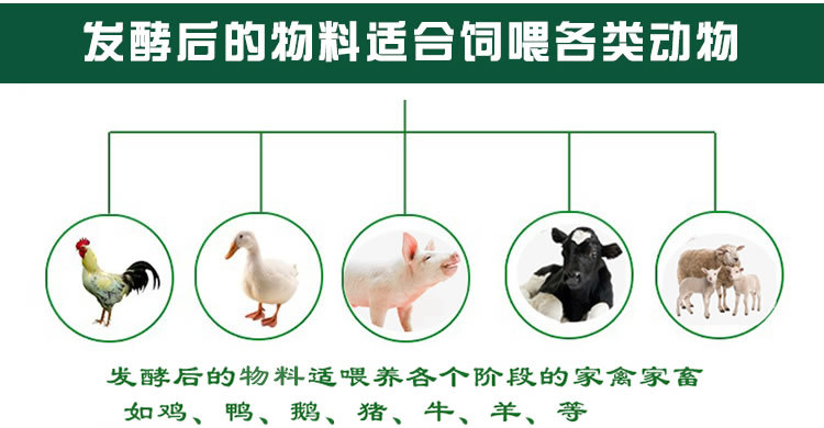 适用于不同动物