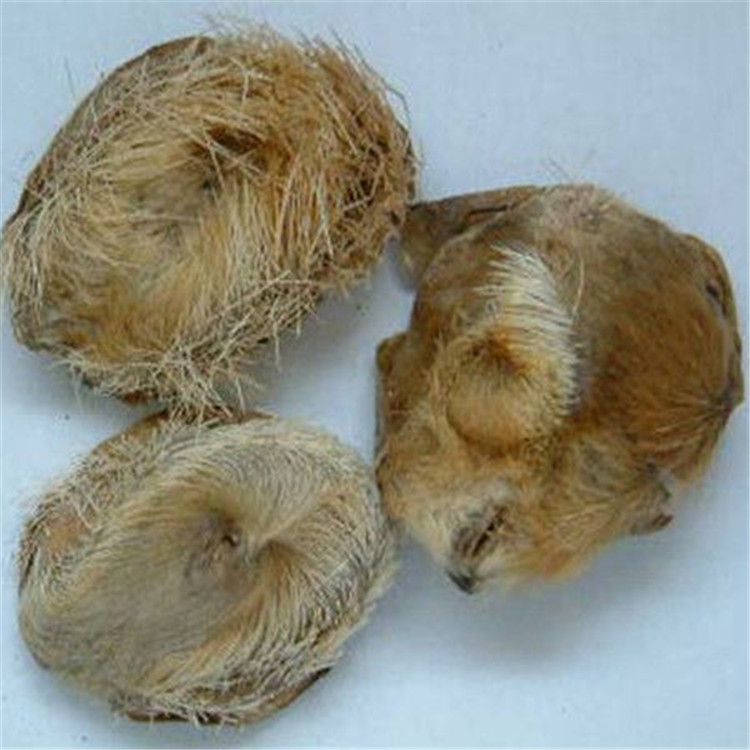 厂家直供 麝香香型  日用香精 免费拿样 洗护香精