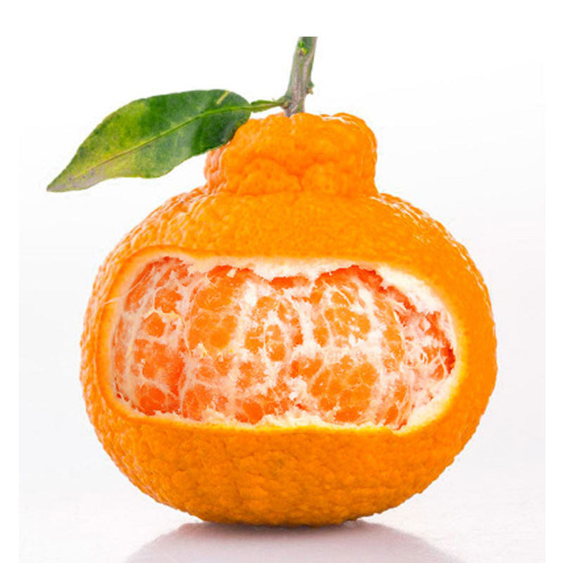 招水果代理丑橘不知火丑八怪新鲜桔子非耙耙柑现摘现发一件代发