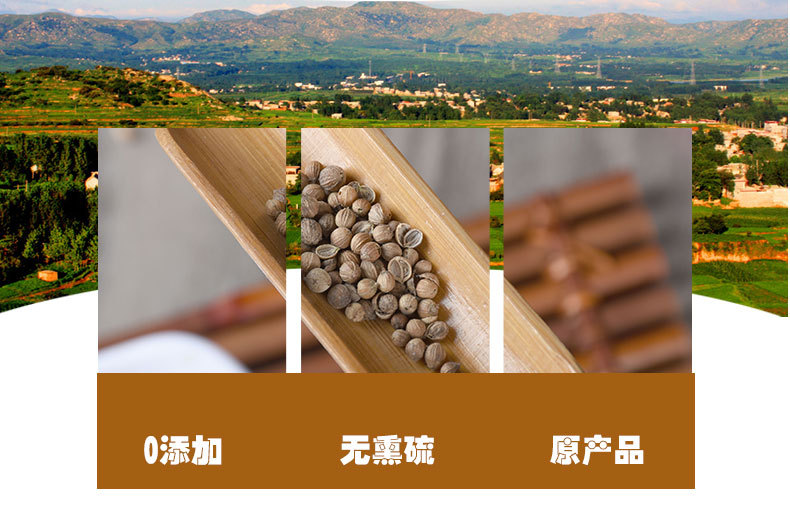 Coriander Seeds (Coriandrum sativum) — Premium Whole Xiang Cai Zi Spice for Hot Pot & Cooking, 500g quality and texture
