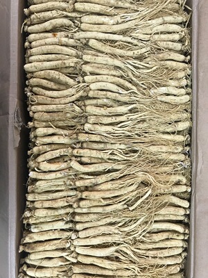 长白山人参生晒参白全须无硫泡酒煲汤滋补养生保健佳品人参全须|ms