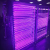 T8 Integration UV Lamp tube LED Curing lamp Blacklight 0.6 rice 10W Violet light Haunted House Effect lamp