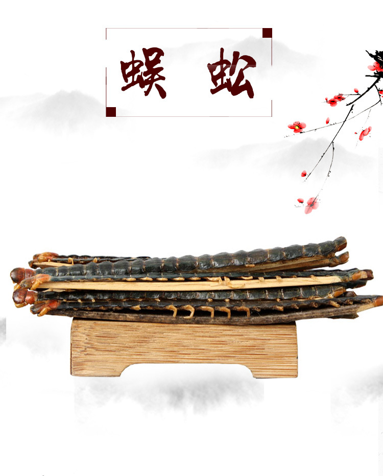 Wu Gong (Scolopendra subspinipes) — Dried Centipede with Bamboo Stick, 18 cm Grade key features