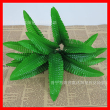 �S��ֱ�����沨˹�~��ֲ��b�ֲ��ާ�ֲ�����l�����b��Ų�