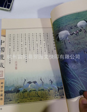 �ż� �ŕ� �Ʊ� �ҳ� ���V �������������ž��b�� ��ɫӡˢ���S