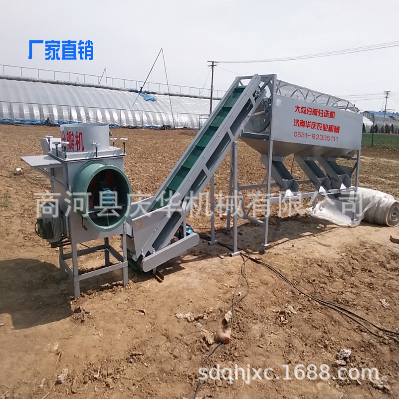 庆华蒜种分瓣分选机  蒜种破瓣机  济南剥瓣机  扒瓣机厂家