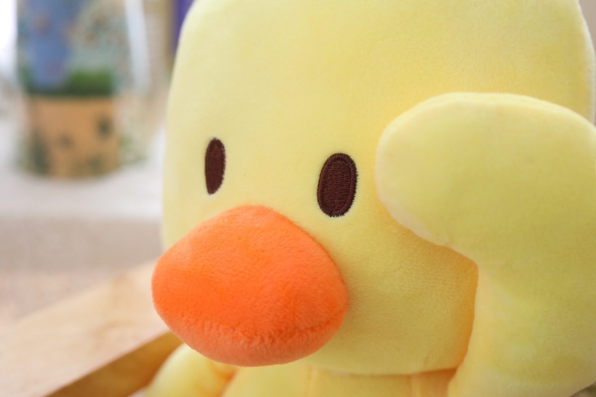 Little Yellow Duck 7