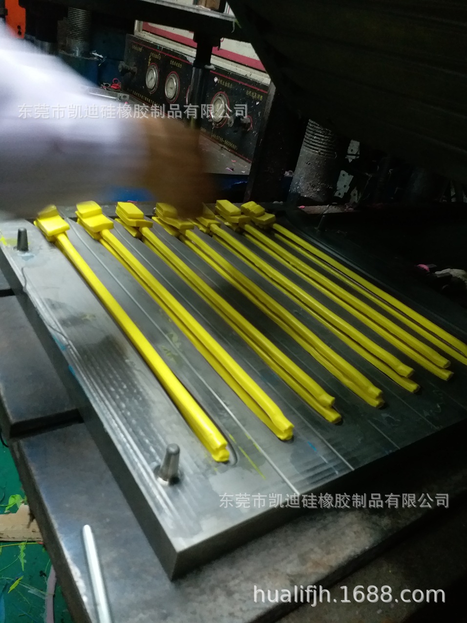 Perche selfie - Ref 3385825 Image 7