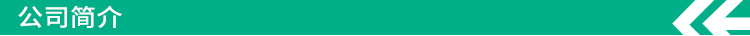 公司简介