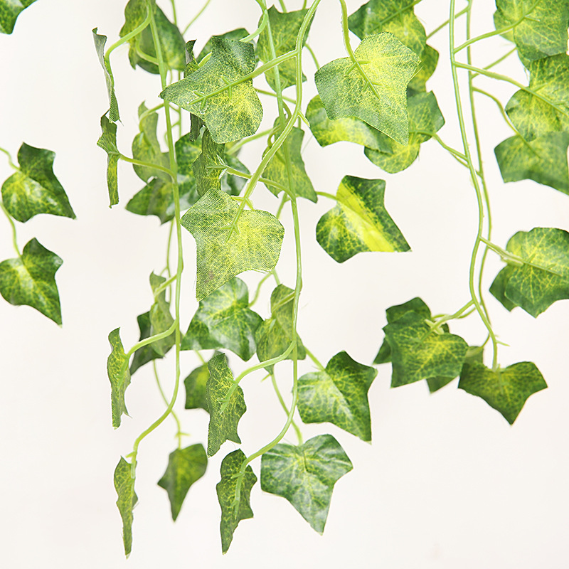 Beautiful Wall Hanging