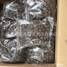 ���� �����m����Ʒ 䁱��� ����䁵� ���͸�������