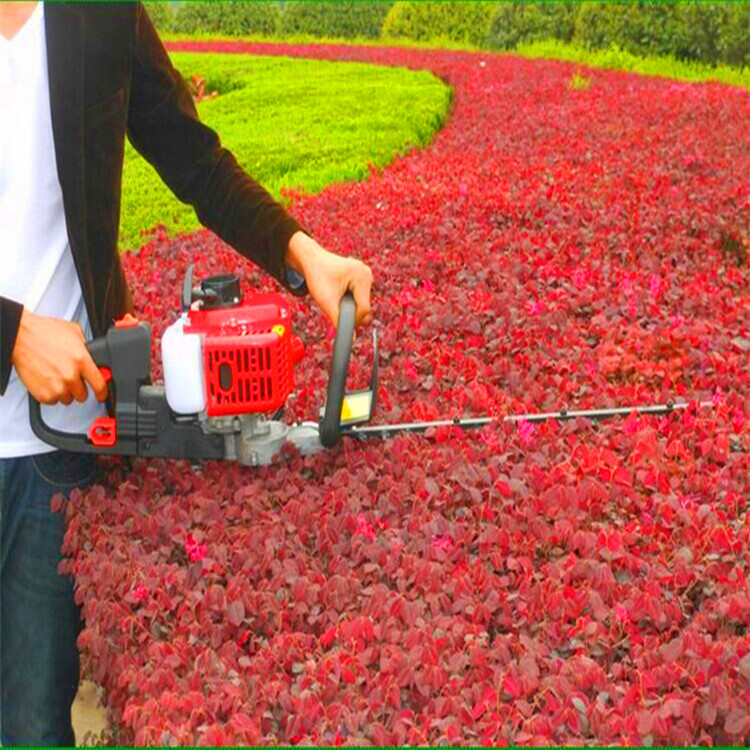 635979670800782572929_副本 - 副本.