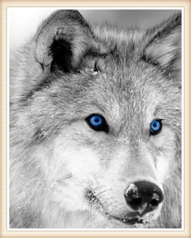 DW1653 A2474 狼 30X40cm.jpg