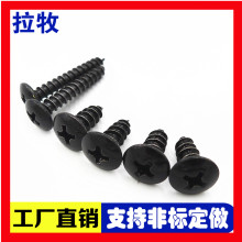 304P ɫ^ԹݽzʮֱA^ \o̼ S