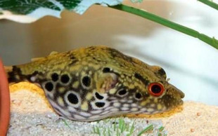 ���빷�^���~ �����~ ���^�~ �^�p�~ ��ˮ�~