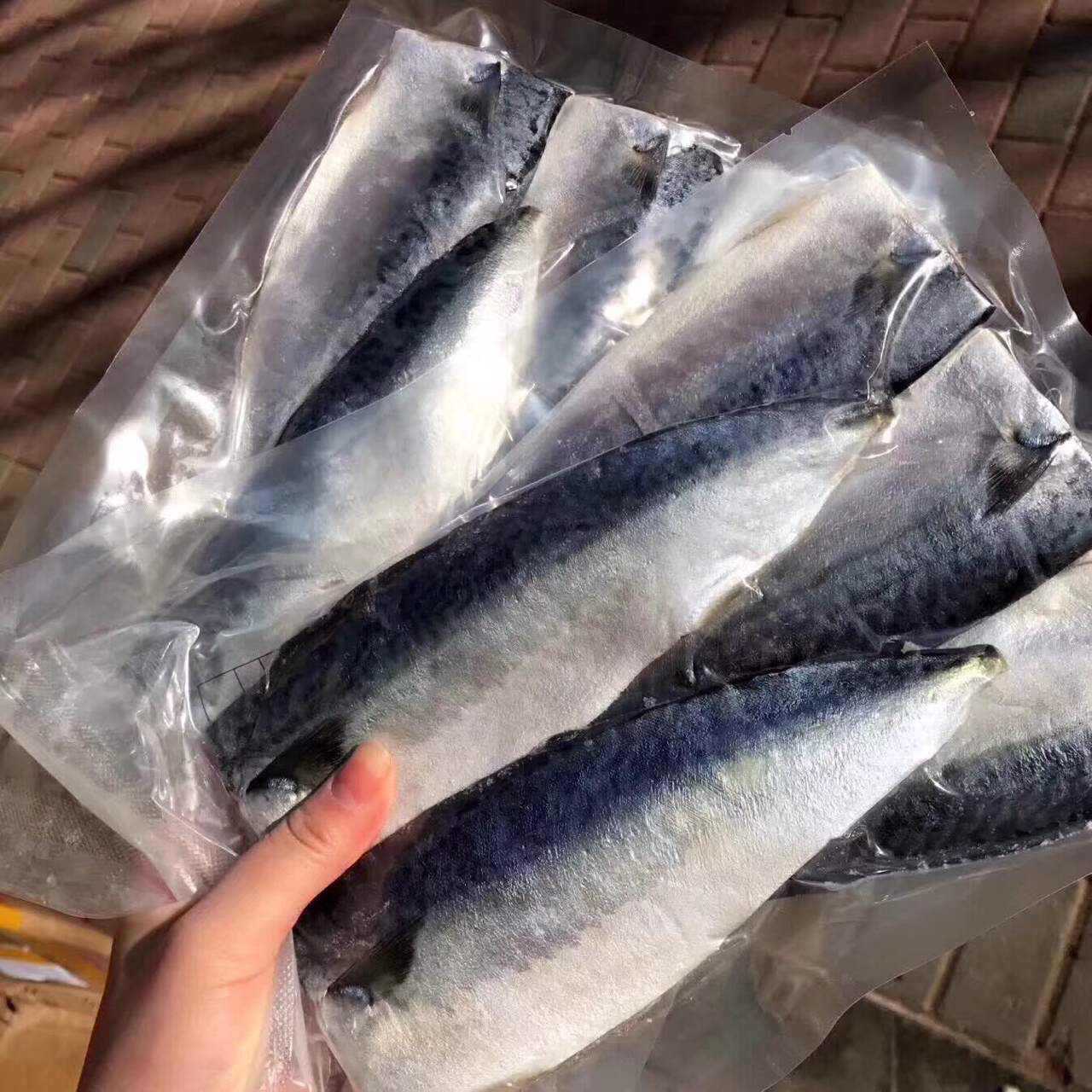 鲐鲅鱼和鲐鲅鱼的区别,鲅鱼和鲅鱼有什么区别,鲐鲅鱼和鲅鱼哪个好吃(第5页)_大山谷图库