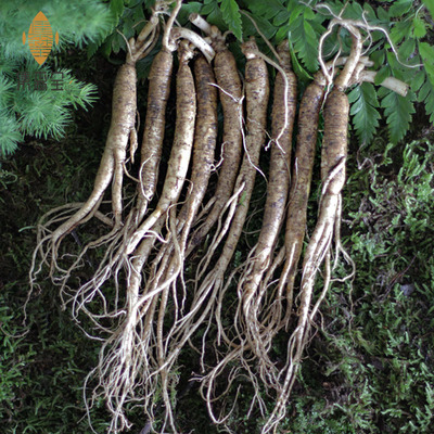 特价批发长白山新鲜人参250克起无添加原生态集安50支泡酒保鲜参