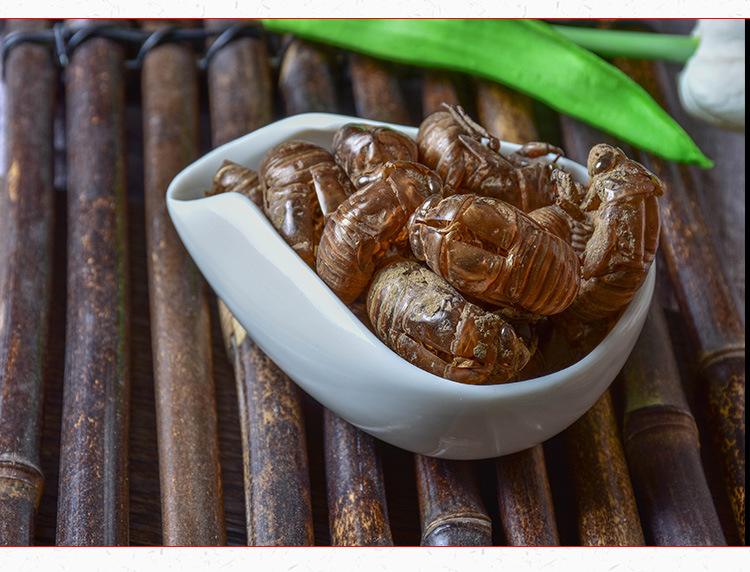 Chan Tui (Cryptotympana pustulata) — Sulfur-Free Washed Cicada Slough, Dried Herb key features