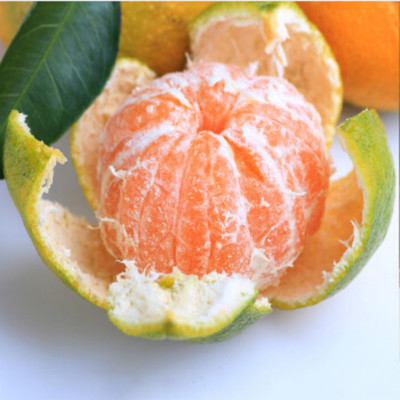 宜昌蜜桔当季时令新鲜孕妇水果柑橘5斤 薄皮酸甜桔子橘子现摘现发