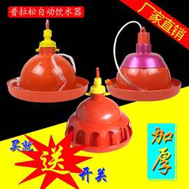 养鸡用自动饮水器饮水壶沪式普拉松鸡鸭鹅喝水壶畜禽养殖饮水器