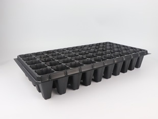 50����ľѨ�P�����������Ѩ�P�Ӻ�������ľ���N�P���ʹ��