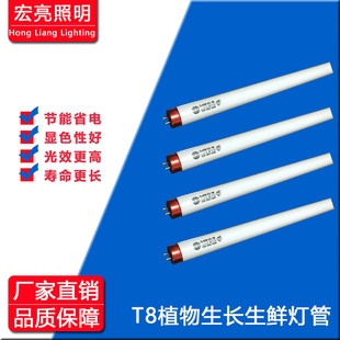 �S��ֱ�N T8�չ����  �չ���� �a��؛Դ