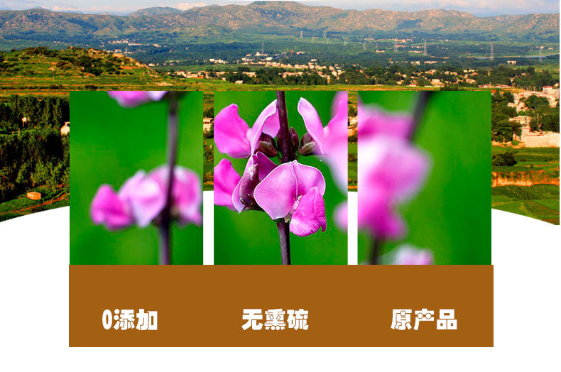 Bian Dou Hua (White Hyacinth Bean Flower) — Dried Food Herb, 500g quality and texture