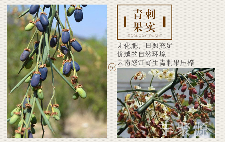 刺油果,油果,非油果(第2页)_大山谷图库