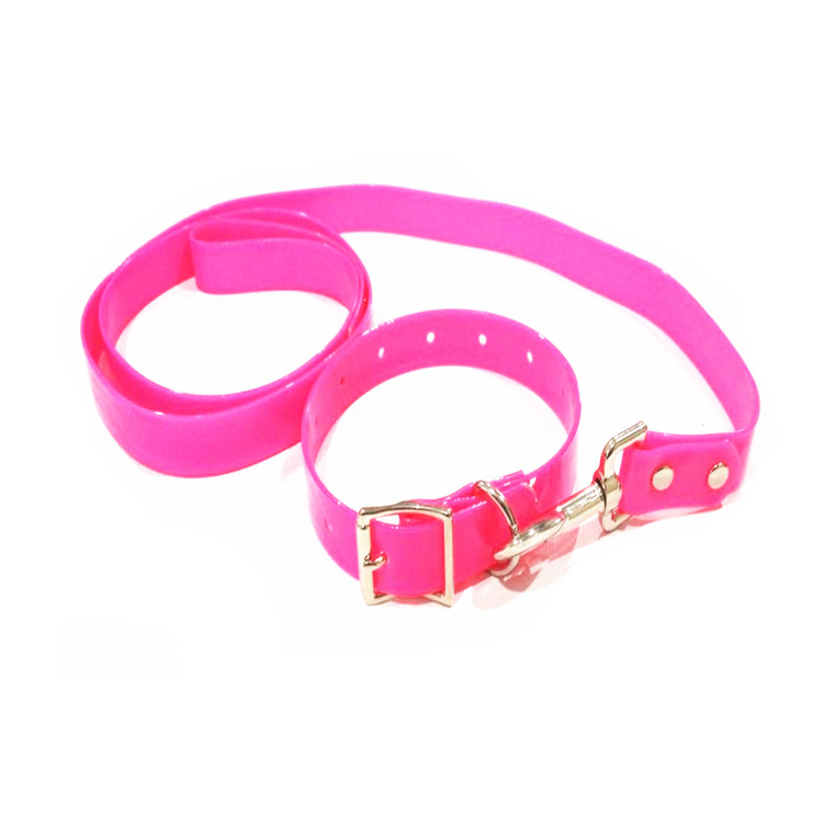 tpu dog collar with lead