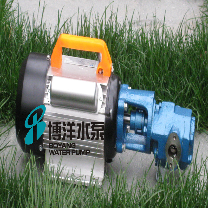 高粘度油WCB-20.S型电动齿轮油泵 手提式微型油泵