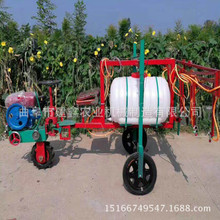 ݆șCSׇșCġ݆ʽșCߗUș