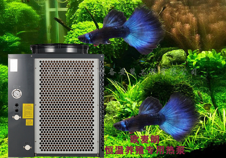 泥鳅养殖恒温加热 养殖热水工程解决方案 特种空气能热泵厂家