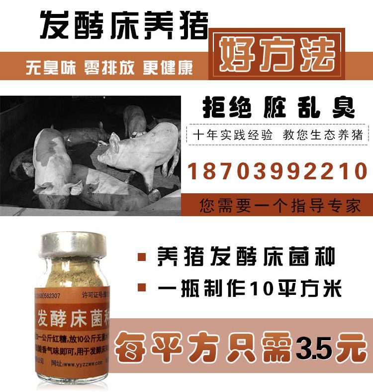 发酵床养猪好处