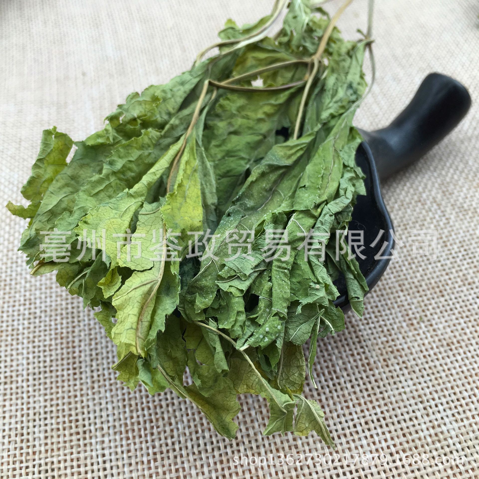 Ginseng Leaf Dried Herb Ren Shen Ye Loose Bulk Herbal Tea Ingredient 500g in use