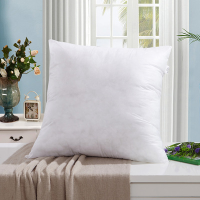 無紡布PP棉方抱枕芯動漫靠背抱枕芯家居沙發墊腰靠樣板專拍鏈接