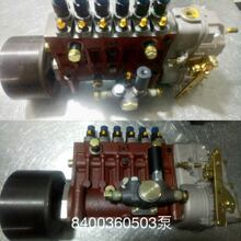 �����ϲ��ͱÿ��� 8400360504 �Ϻ����݇��ͱ� �̓r�F؛����