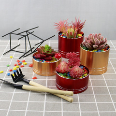 Succulent Planter, Desktop Succulent Plant Pot, Family Gardening Creative Iron Metal Cylinder Planter, Factory